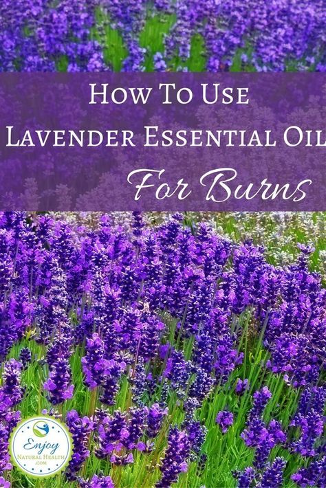 Essential Oil For Burns, Lavender Oil Recipes, Lavender Oil For Skin, Autogenic Training, Oils For Sinus, Essential Oils For Headaches, Oil For Skin, Essential Oil Remedy, Natural Beauty Care