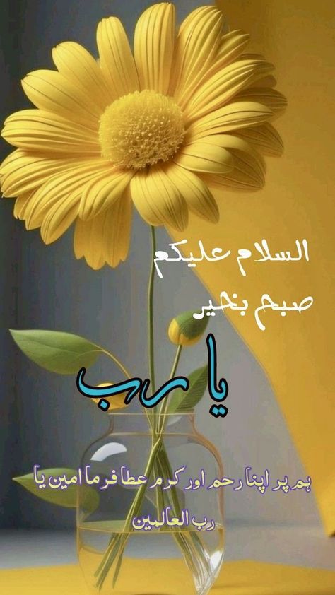 Suba Bakhair, Islamic Greetings, Very Good Morning Images, Subha Bakhair, Good Morning Animated Images, Jumma Mubarik, Darood Shareef, Cherry Blossom Wallpaper, Good Night Love Messages