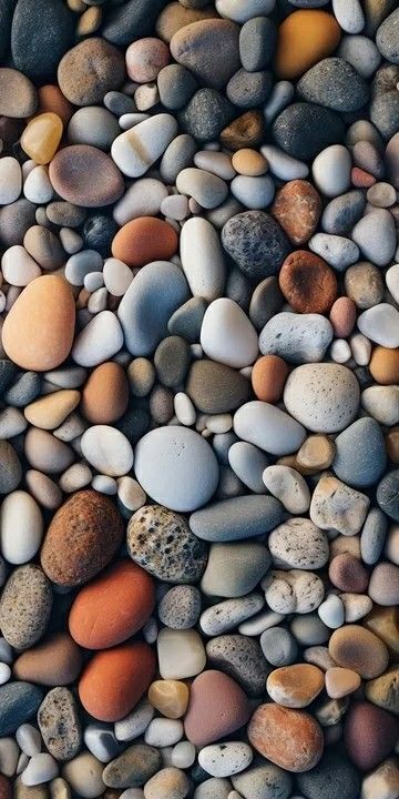 Pebble Color, Flowers Wallpapers, Rock And Pebbles, Watercolor Art Lessons, Beautiful Flowers Wallpapers, Flower Wallpaper, Art Lessons, Nature Art, Photo Ideas