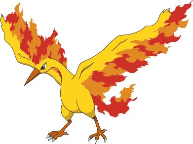 Moltres | Pokémon Wiki | FANDOM powered by Wikia Moltres Pokemon Tattoo, Pokémon Dragon, Moltres Pokemon Art, Legendary Pokemon, Moltres Pokemon, Pokemon Lugia, Fire Pokemon, Bird Pokemon, 150 Pokemon