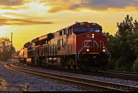 Meridian Mississippi, Canadian National Railway, Air Plane, Mississippi, Train, Building, High Quality, Logos