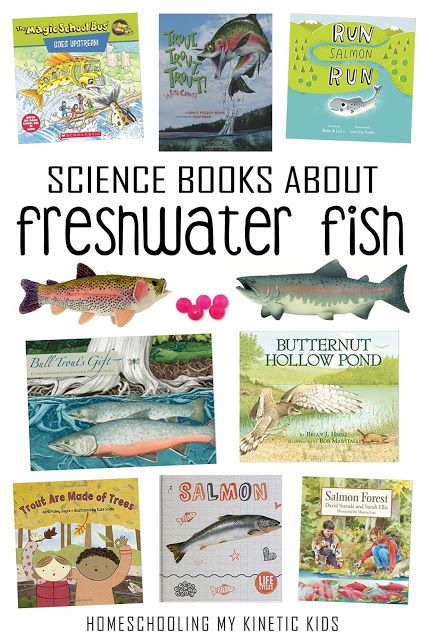 Fish Books For Preschool, Salmon Unit Study, Trout In The Classroom, Fish Science Experiment, Fish Unit Study, Fishing For Kids, Fish Science, Fish For Kids, Fish Facts