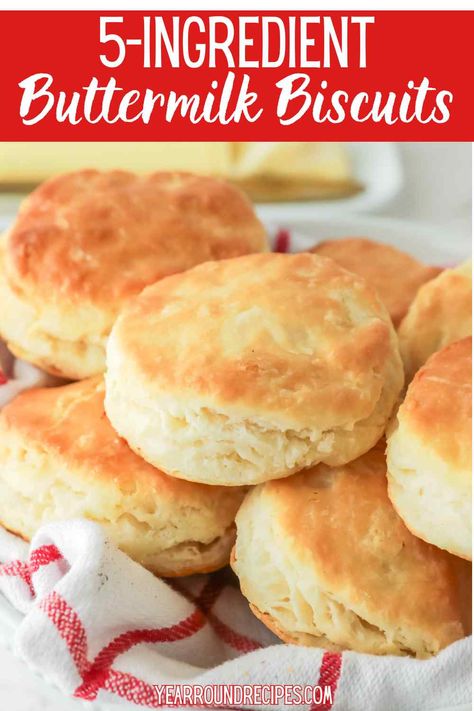 Discover how to make the perfect 5-Ingredient Buttermilk Biscuits every single time. Follow our guide for fluffy, flaky biscuits that are sure to impress. Church Punch, Biscuit Rolls Recipes, Biscuits Buttermilk, Sweet Potatoes Broccoli, Bbq Christmas, Buttermilk Drop Biscuits, Sheet Pan Supper, Buttermilk Biscuits Easy, Best Homemade Biscuits