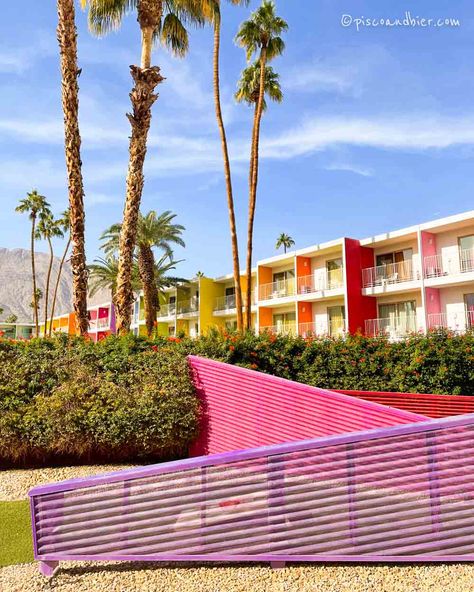 Saguaro Hotel Palm Springs, Cabana Poolside, Palm Springs Pool Party, Palm Springs Photography, Saguaro Hotel, Palm Springs Restaurants, Palm Springs Pool, Palm Springs Hotel, Ace Hotel Palm Springs