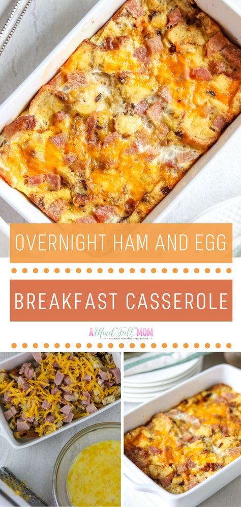 An incredibly satisfying meal you can make ahead! Overnight Ham and Egg Breakfast Casserole has a sweet and savory combination you will enjoy. Cranberry walnut bread, ham, sharp cheddar, and an egg base are baked into an easy breakfast casserole perfect for entertaining! Egg Bake With Bread, Ham And Egg Breakfast Casserole, Overnight Ham, Breakfast Casserole With Ham, Overnight Egg Casserole, Bacon Breakfast Casserole, Breakfast Casserole With Bacon, Easy Breakfast Casseroles, Casserole With Ham