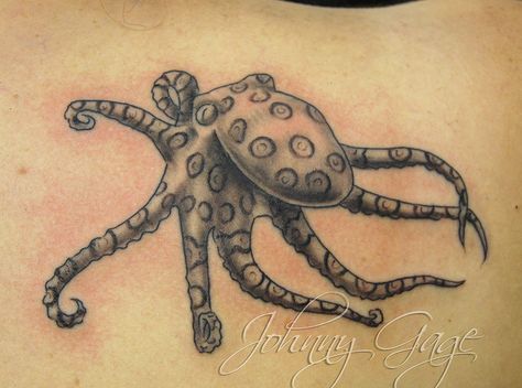 Blue ring octopus Blue Ring Octopus Tattoo, Blue Ringed Octopus Tattoo, Ursula Tattoo, Snake And Flowers Tattoo, Octopus Tattoo Sleeve, Squid Tattoo, Polynesian Tattoos Women, Octopus Tattoo Design, Octopus Tattoos