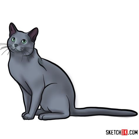 How to draw The Russian Blue cat Cat Step By Step, Russian Cat, Draw Cats, Easy Drawing Guides, Tonkinese Cat, Blue Drawings, Pet Scrapbook, Drawing Guides, Cat Steps