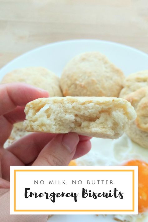 Emergency Biscuits (Super Easy, No Milk, No butter) - Kasheribbean No Butter Biscuits, Easy Biscuit Recipe No Milk, Biscuits No Milk, Biscuit Recipe No Milk, Recipes For Biscuits, Buscuit Recipe, Quick Biscuit Recipe, Dinner Biscuit, Easy Breakfast Bake