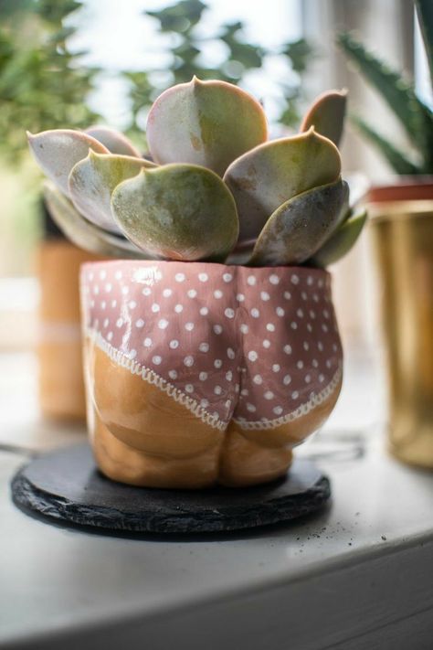 Decorative Ceramics, Beginner Pottery, Clay Planters, Clay Diy Projects, Clay Crafts Air Dry, Diy Ceramic, Keramik Design, Dry Plants, Pottery Crafts