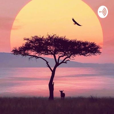 Heal Your Body Holistically by From the Forest Podcast • A podcast on Anchor Safari Tattoo, Africa Photography, African Sunset, Desenho Tattoo, Nature Travel, African Art, Beautiful Landscapes, Beautiful Nature, Landscape Paintings