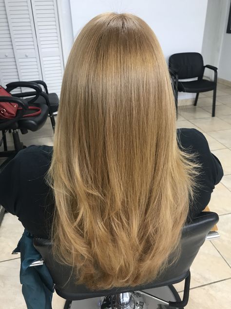 Hair Dye Shades, Honey Blond, Dark Blonde Hair, Angel Hair, Natural Blondes, Dark Blonde, Honey Blonde, Dream Hair, Hair Looks