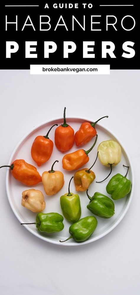 Green Habanero Recipes, Habanero Recipes Food, Candied Habanero Peppers, Pickled Habanero Peppers Recipe, Habanero Recipes, Vegan Basics, Chile Habanero, Vegan Condensed Milk, Dairy Free Bread