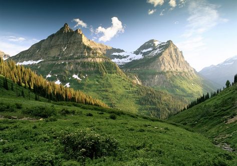 Glacier | National Park Foundation Green