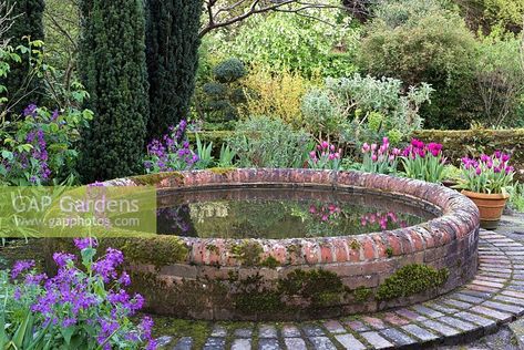 A circular raised brick pond. Brick Pond, Raised Pond, Backyard Ponds, Garden Ponds, Green Peace, North Garden, Hot Tub Garden, Front Garden Design, Pond Fountains