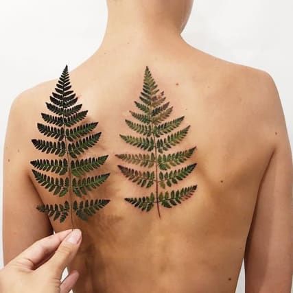 Pressed Flower, Fern and Leaf Tattoos - Tattoo Ideas, Artists and Models Fern Tattoo, Muster Tattoos, Plant Tattoo, Botanical Tattoo, Artists And Models, 3d Tattoos, Fern Leaf, 3d Tattoo, No Rain