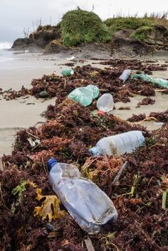 Beach Pollution, Plastic And Environment, Pencemaran Udara, Plastic Beach, Marine Pollution, Ocean Pollution, Photography Themes, How To Make Drinks, Best Wedding Gifts