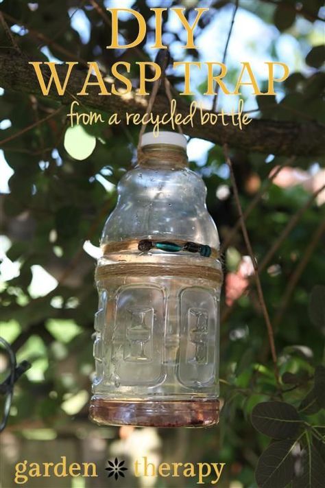 Yellow Jacket Trap, Wasp Trap, Wasp Traps, Garden Simple, Garden Therapy, Bees And Wasps, Natural Pest Control, Recycled Bottle, Humming Bird Feeders