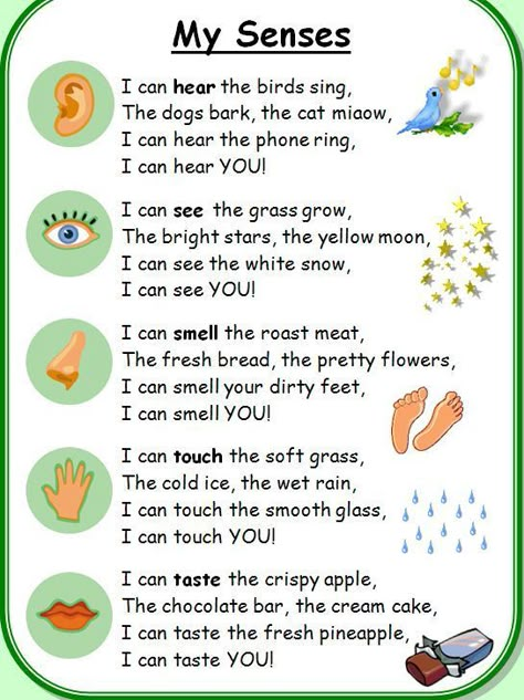 The 5 senses Teacher Reference, Five Senses Preschool, English Poems, Daycare Themes, My Five Senses, Senses Preschool, Classroom Songs, Senses Activities, Daycare Teacher