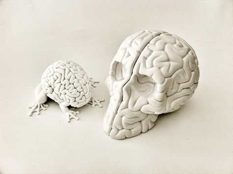 8_skull_brain_proto Brain Art, Paper Mache Sculpture, Grid Design, Stippling, Limited Edition Art, Gorillaz, Sculpture Clay, Skull And Bones, Ceramic Sculpture