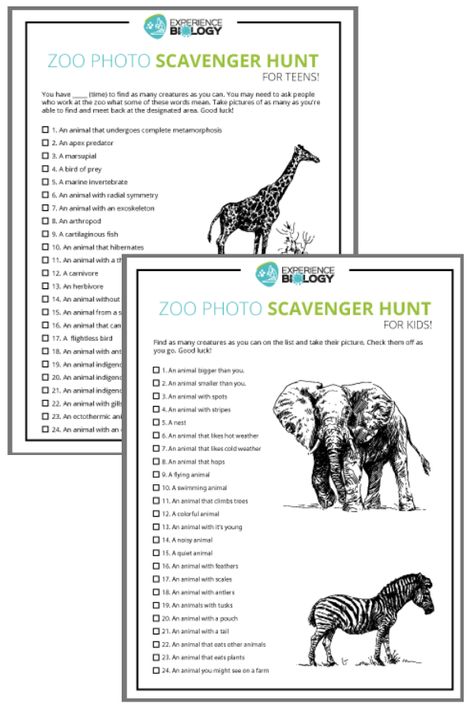 Zoo Photo Scavenger Hunt — for the whole family! | Experience Biology #zooactivities #scavengerhunt #summerfamilyactivities Homeschool Zoo Trip Free Printable, Zoo Field Trip Activities Free Printable, Zoo Gift Basket Ideas, Zoo Scavenger Hunt Printable Free, Zoo Scavenger Hunt Printable, Zoo Worksheets, Zoo Scavenger Hunt, Guest Basket, Zoo Map