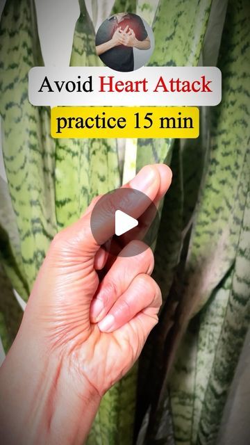 Radhika Bargava on Instagram: "How Mudras are effective to prevent heart attacks 🫀

The hand gesture in the practice of Hridaya Mudra (Heart Gesture) helps in balancing the Heart Chakra (Anahata Chakra) with the pressing of the thumb (fire element), the ring finger (earth element), and the middle finger (space element) together at the tips.🤚🤏

Do this for 15 minutes daily for effective results 🌸
.
.
.
.
#mudra #mudrareel #reelforheart attack #heartattackmidra #mudraforheartarrack #heartattack #yogaforlife #mudrafirtheeyes #mudraforweightloss #mudraforhealth #mudraforglowingskin #mudraforsleep #mudraforselfconfidence #mudraforbrain #mudraformigraine #heartattack #heartatrackonaplate #heartattackmovie #trimukyoga" Mudra For Healing, How To Do Mudras, Mudras For Heart, Mudra For Eyesight, Heart Chakra Hand Mudra, Hakini Mudra Benefits, Uttarabodhi Mudra, Yoga Facts, Hand Mudras