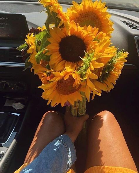 Sunflowers Background, Good Day Sunshine, Sunflower Pictures, Sunflower Wallpaper, Flower Therapy, Luxury Flowers, Pretty Plants, Yellow Aesthetic, Alam Yang Indah