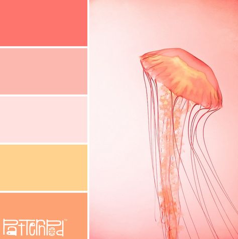 Jelly Fish Color Palette, Sherbet Wedding Colors, Nice Color Palette, Soft Sunset Color Palette, Soft Orange Color Palette, Color Palette Orange Pink, Pink Sunset Color Palette, Grapefruit Color Palette, Jellyfish Color Palette