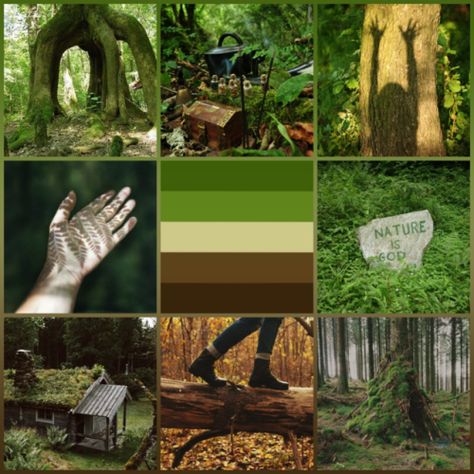 Lgbtq Moodboard, Aroace Moodboard, Guardian Aesthetic, Aroace Aesthetic, Forest Guardian, Mermaid Designs, Green Academia, Greenhouse Effect, Picture Boards