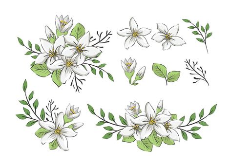 Jasmine Drawing, Jasmine Tattoo, Flower Tat, Flower Elements, Jasmine Plant, Crayon Drawings, Sunflower Tattoos, Animal Print Wallpaper, Jasmine Flower