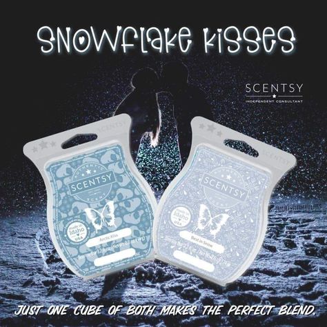 Scentsy Christmas Warmers, Fragrance Recipes, Scentsy Recipes, Scentsy Marketing, Scentsy Candles, Scentsy Ideas, Scented Wax Warmer, Winter Scents, Scentsy Party