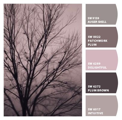 Mauve Colour, Paint Color Schemes, Color Schemes Colour Palettes, Best Bedroom, Purple Paint, Bedroom Color Schemes, Color Palette Design, Bedroom Paint, Paint Colors For Home