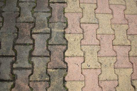 How To Clean Patio Pavers Without a Pressure Washer Cleaning Pavers, Paver Sealer, Moss And Lichen, How To Clean Brick, Brick Paver Patio, Clean Patio, Outdoor Pavers, Push Broom, Patio Pavers