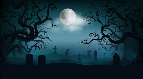 Mystery Background, Creepy Background, Background Horror, Horror Background, Scary Forest, Marcos Halloween, Forest Horror, Spooky Background, Old Cemetery