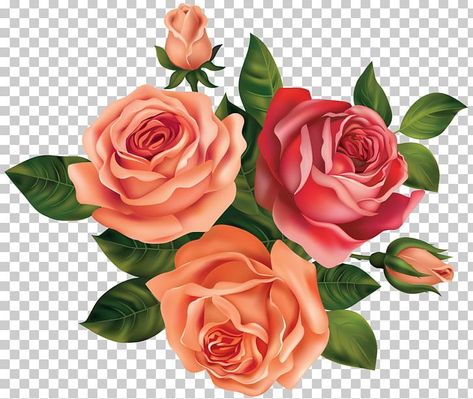 Rose Flower Png, Black Rose Flower, Rose Clipart, Pink Rose Bouquet, Rose Illustration, Flower Wedding Invitation, Vector Flowers, Peach Flowers, Watercolor Flowers Paintings