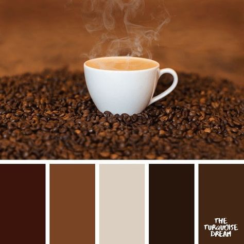 #wittnesses #townhallmeeting Palettes Color, Website Color Palette, Perfect Cup Of Coffee, Web Colors, Pintura Exterior, Room Color Schemes, Brand Color Palette, Color Cafe, Color Palette Design