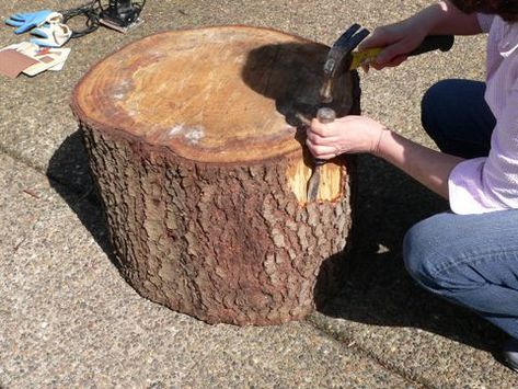 How to make a table from a tree stump - The Pecks | OregonLive.com Cool Stool, Tree Stump Furniture, Stump Stool, How To Make Trees, Grape Arbor, Tree Stump Table, Stump Table, Make A Table, Caster Wheels