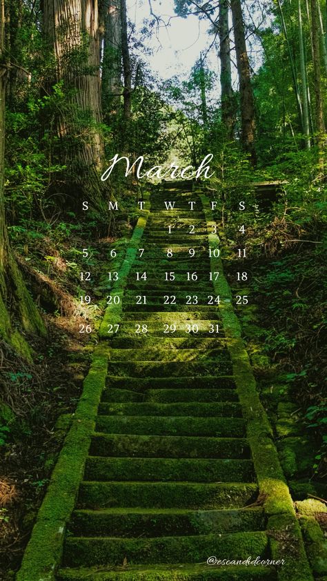 March Wallpaper Calendar #calendar #march #march2023 March Aesthetic Wallpaper, March Wallpaper, Cottagecore Aesthetic Wallpaper, March Aesthetic, August Wallpaper, March Calendar, Calendar March, Aesthetic Cottagecore, Spring Background