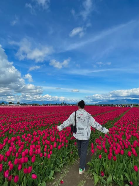 #tulips #field #photoshoot #aesthetic #wallpaper #background #lockscreen #ideas #shorts #fields #flowers #photo #flowerfields Pictures In Tulip Fields, Tulip Farm Outfit Cold, Tulips Field Photoshoot, Tulip Instagram Picture, Tulip Farm Outfit Ideas, Tulip Feild Pics, Tulip Field Photos, Tulip Field Poses, Tulip Festival Outfit Ideas