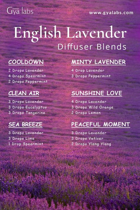 A bottle of English Lavender essential oil blend surrounded by blooming lavender flowers and a diffuser, with the text "English Lavender Essential Oil Blend for Relaxation and Serenity" written in an elegant and serene font. Lavender Diffuser Blends, Lavender Oil For Skin, Lavender Oil Benefits, Essential Oil For Hair, Lavender Diffuser, Diffuser Scents, Essential Oil Perfume Blends, Essential Oil Spray Recipes, Scent Blends