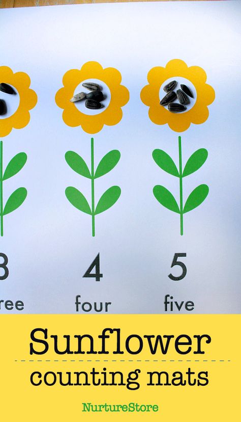 Prek Sunflower Activity, Sunflower Math Activities, Sunflower Math Activities Preschool, Sunflower Activities For Kindergarten, Sunflower Toddler Activities, Sunflower Eyfs Activities, Sunflowers Eyfs, Growing Eyfs Activities, Sunflower Activities For Preschool