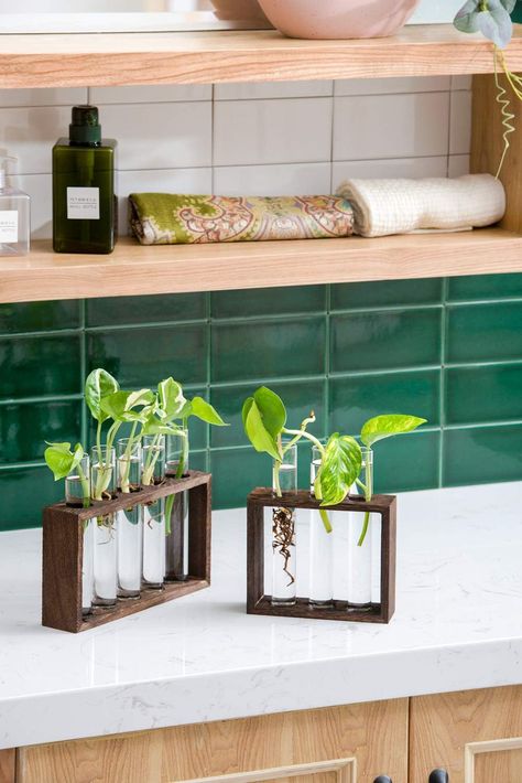 About this item Minimalistic Look: A wood rack in Natural Retro Color combined with 5 clear glass tubes. A beautiful way to display the artificial or freshly cut flowers, mixed bouquets and water rooted plants for home decor in livingroom, bedroom, restroom, dinning room, kitchen, or office. Size: Wooden Frame: 8.7"L×2"W×5"H; Test Tube: Diameter is 1", Height is 7.09". Tabletop Terrarium, Hanging Glass Planters, Snake Plants, Hanging Planters Indoor, Hydroponic Plants, Test Tubes, Glass Planter, Plant Cuttings, Decorative Pots