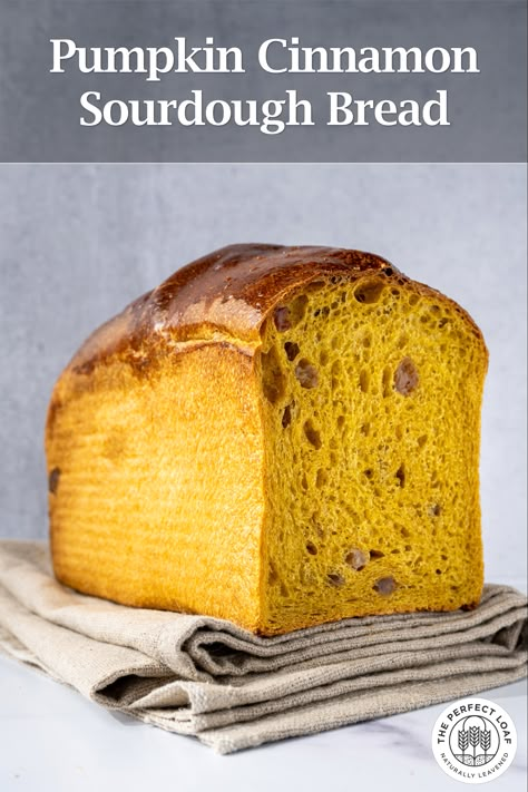 Pumpkin Cinnamon Sourdough Bread, Buttermilk Pumpkin Bread, Cinnamon Sourdough Bread, Sour Dough Bread Starter Recipe, Cinnamon Sourdough, Pumpkin Sourdough, Fall Bread Recipes, Sourdough Pumpkin, Baking Fall