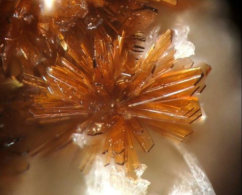 Ruizite: a silicate mineral that -forms on metamorphosed limestone was discovered in Christmas Mine in southern Arizona Southern Arizona, Silicate Minerals, Engagement Party Decorations, Modern Garden, Geology, Engagement Party, Outdoor Gardens, Arizona, Party Decorations