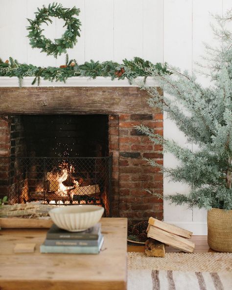 Jenni Kayne | Apparel & Home on Instagram: “We're never leaving this fireside nook #jennikayne” Jenni Kayne Christmas, Nicki Sebastian, Christmas Color Palette, Norfolk Pine, Farmhouse Christmas Tree, Pine Garland, Greenery Garland, Christmas Greenery, Jenni Kayne