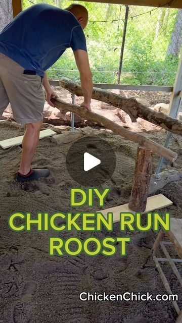 Kathy, The Chicken Chick®️ on Instagram: "If you build it, they will roost!
EASY DIY!
🐥
🐥
#backyardchickens  #petchickens #chickens #chickenkeeping #diy" Chicken Coop And Run, Coop And Run, Duck Ideas, Diy Instagram, Chicken Chick, Chicken Diy, Chicken Runs, Pet Chickens, Chicken Coops