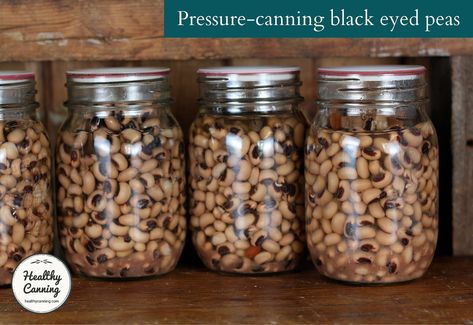 Canning black-eyed peas - Healthy Canning Canned Black Eyed Peas Recipe, Canning Peas, Canning For Beginners, Healthy Canning, Canning Beans, Blackeyed Peas, Black Eyed Peas Recipe, Bean Dishes, Black Eyed Beans