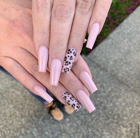 Pink Leopard Nails Designs, Leopard Print Pink Nails, Leopard Nails Pink, Leopard Nails Designs, Pink Leopard Nails, Extra Long Nails, Nails Leopard, Leopard Nail Designs, Band Nails