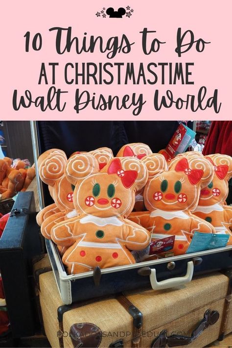 Disney World Christmas 2023, Disney At Christmas Tips, Disney World During Christmas, Christmas Day At Disney World, Disney World Christmas Food, Disneyworld Christmas Aesthetic, Disney Christmas Food, Disney Christmas Pictures Ideas, Disney Christmas Ideas