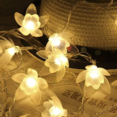 40 LED Lily Shape Flower String Lights, 16.4Ft Fairy Led String Lights Battery Powered for Party, Wedding, Xmas, Decoration, Gardens, Patios.(Warm White) - - Amazon.com Cute String Lights, Cute Fairy Lights, Fairy Room Ideas, Aesthetic Fairy Lights, Fairytale Vibes, Lily Fairy, Buddha Canvas Art, Flower Fairy Lights, Calm Room