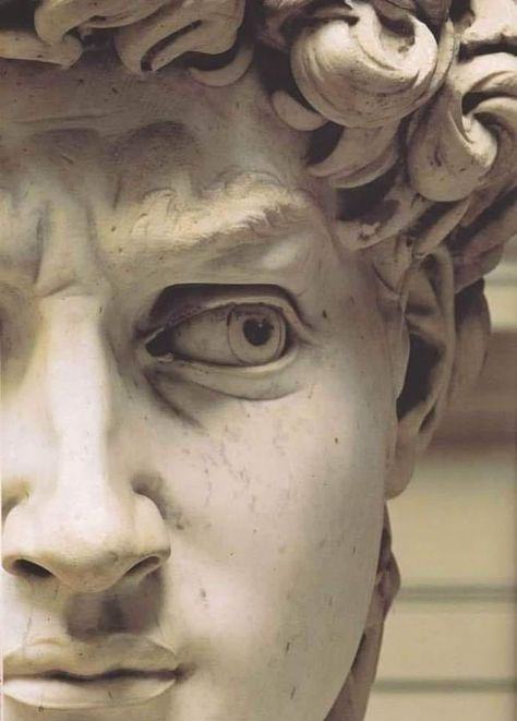 David By Michelangelo, Michelangelo Paintings, David Michelangelo, Michelangelo Art, Michelangelo's David, Greek Sculpture, Marble Sculpture, The Nose, Florence Italy